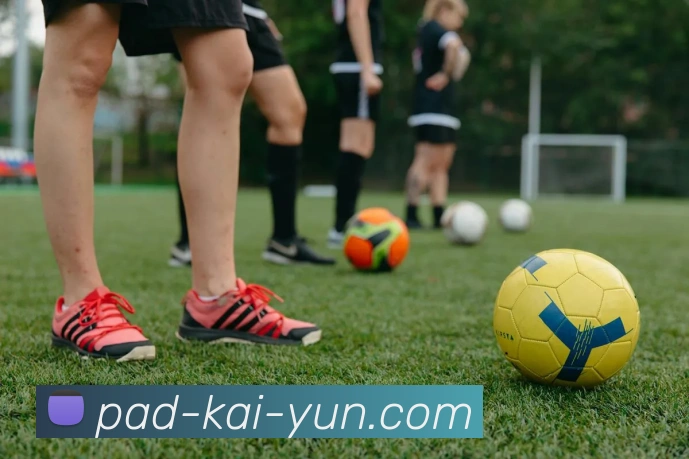 开云平台展示图