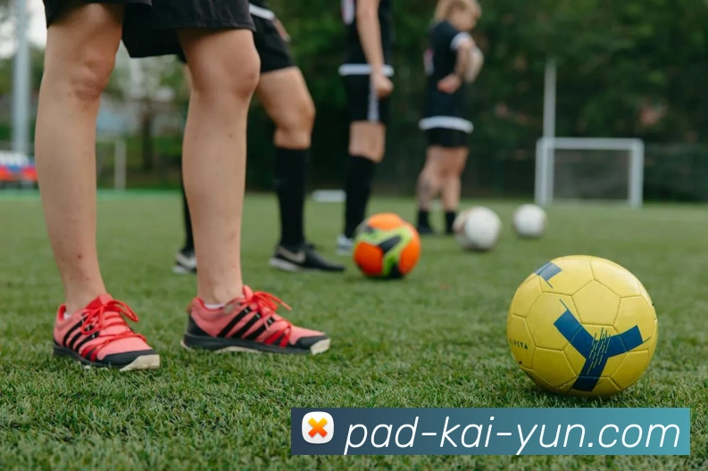 开云官网入口全面解读与最新潮流新品信息指南